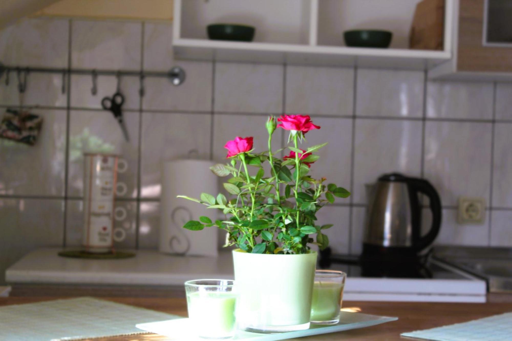 Svila Apartmani Bihać Εξωτερικό φωτογραφία